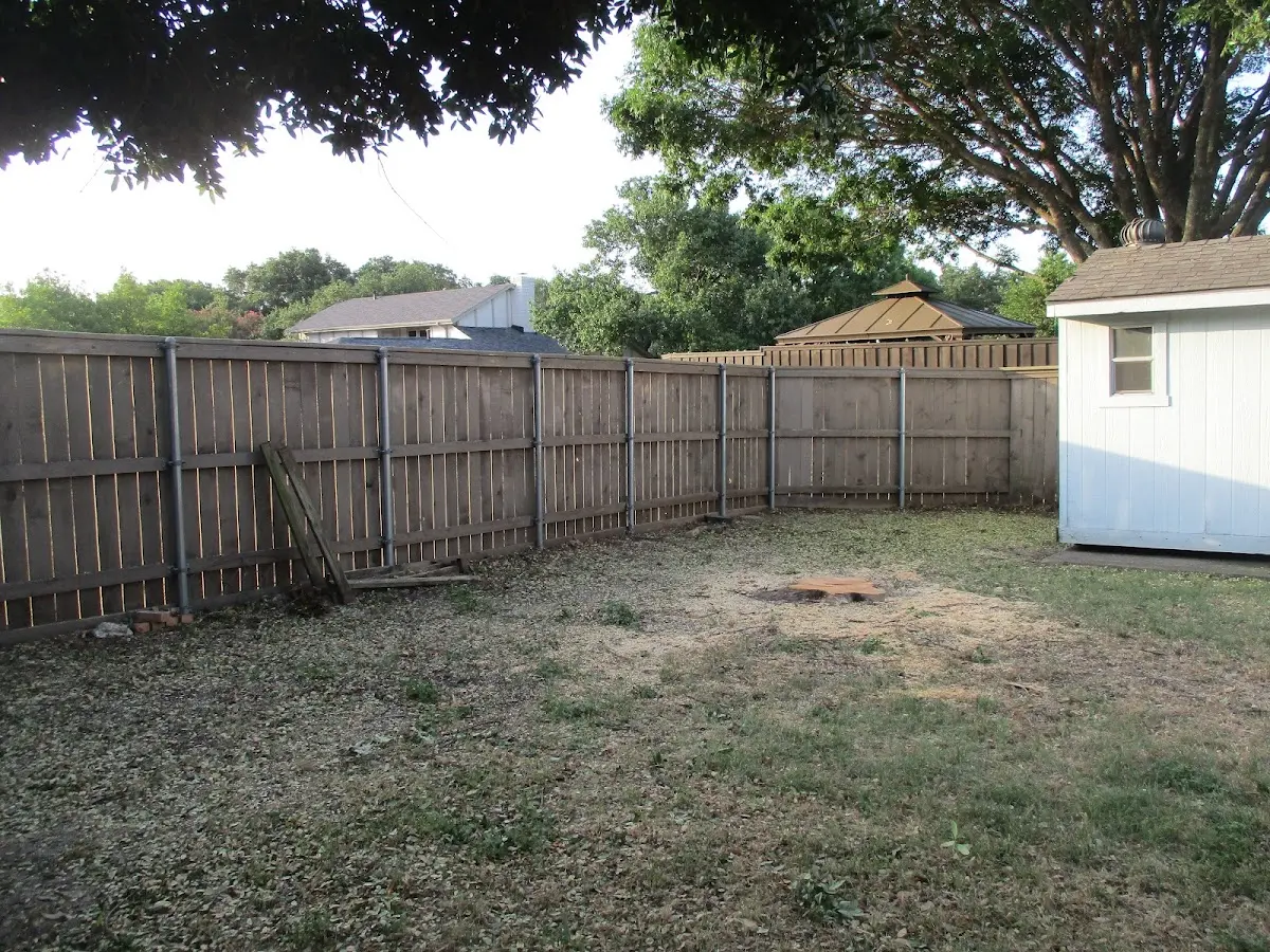 Cleared yard after professional tree removal in Voorheesville